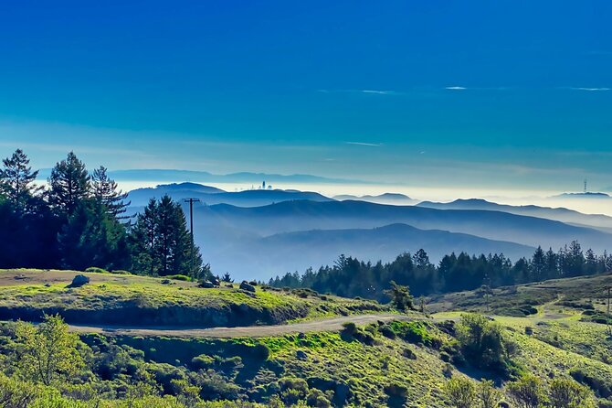 Golden Gate Bridge Bike Tour With Muir Woods & Sausalito Tour - Health and Booking Information