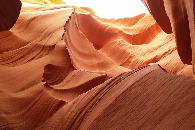 Grand Canyon by Yourself From Las Vegas by SUV - 10 Hrs Disposal - Lunch and Refreshments