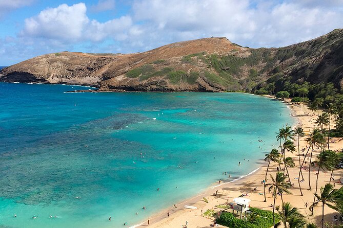 Grand Circle Island and Haleiwa 9 Hour Tour - Traveler Feedback and Experience