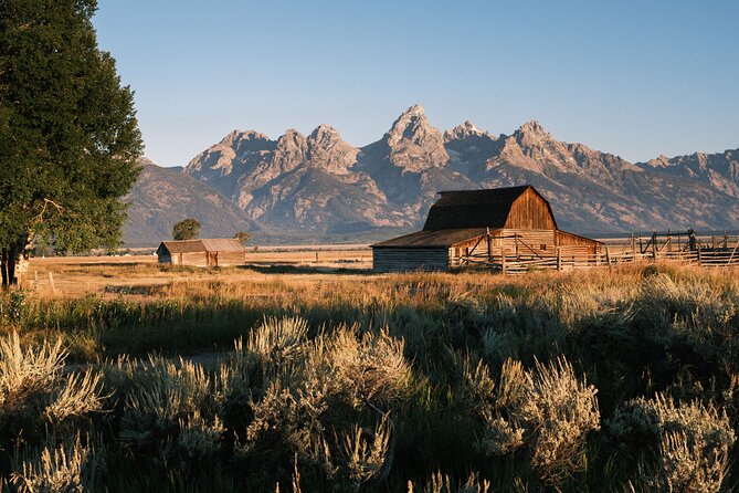 Grand Teton Half Day Private Bike Tour - Tour Experience