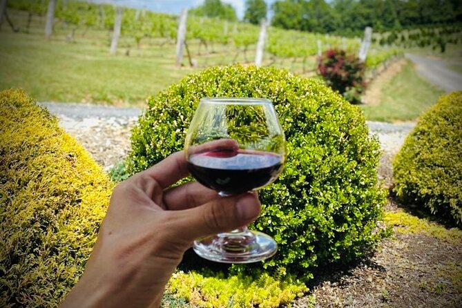 Grandfather Mountain Private Wine & Dine Tour From Asheville - Health and Accessibility Notes