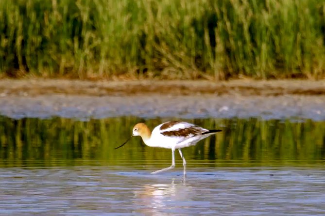 Great Salt Lake Guided Bus Tour From Salt Lake City - Family-Friendly Activities and Attractions