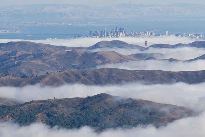 Greater Bay Area Seaplane Tour - Recommended for Travelers