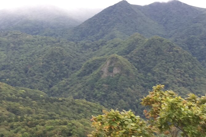 Green Season Half Day Hikes in Sapporo and Hokkaido With Onsen - Preparing for the Hike