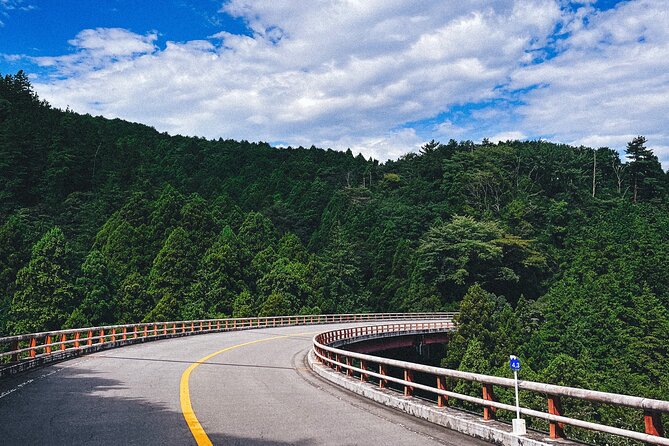 Group 1 Day Tour of Mt. Fuji and Hakone: Onsen, Arts, and Nature - Accessibility and Participation