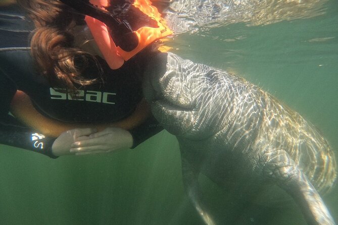 Guided Crystal River Manatee Snorkeling Tour - Meeting Point and Pickup