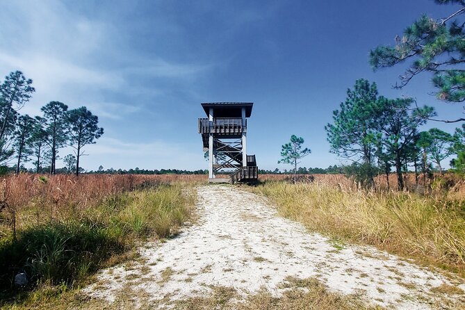 Guided Day Hike Through Floridas Wild Backcountry. - Booking and Cancellation