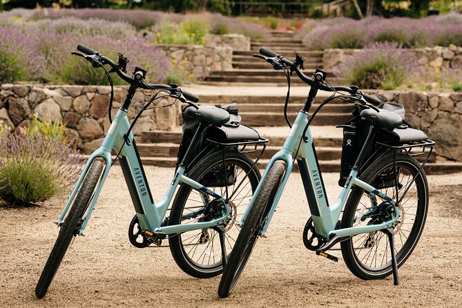 Guided Electric Bike Wine Tour Through Sonoma County - Exceptional Guest Experiences