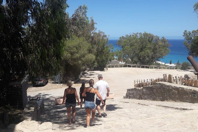 Guided Excursion Cap-Bon From Hammamet - Accessibility Features