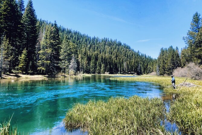 Guided Fly Fishing on Truckee River, Lake Tahoe, Truckee and Reno - Highlights of the Guided Tour