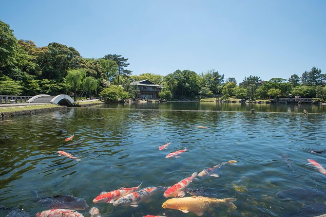 Guided Half-day Tour(AM) to Nagoya Castle & Tokugawa Museum and Garden - Nagoya Castle