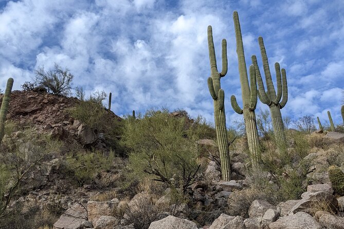 Guided Hike: Lime Kiln Desert Hike on the Lower Salt River - Participant Capacity and Booking Details