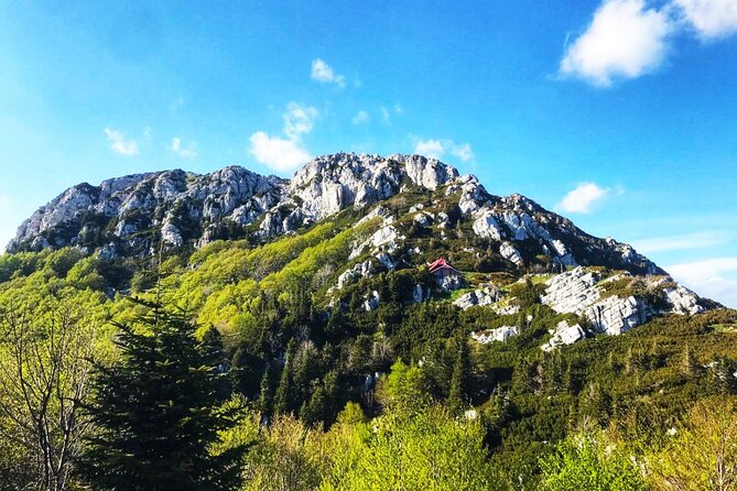Guided Hiking Adventure in Risnjak and Lokvar Lake - Ask Away