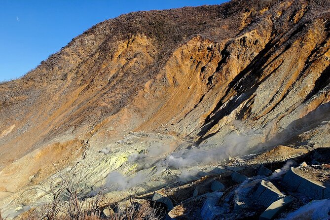 Guided Mt. Fuji & Hakone Tour Bullet Train Return GREEN NUMBER - Highlights of the Tour