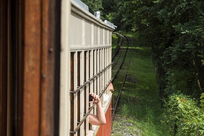 Guided Tour Basilica of Superga and Traditional Tramway Ride - Accessibility Information