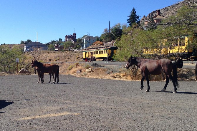 Guided Tour of Historic Virginia City and Carson City From South Lake Tahoe - Expectations and Additional Info