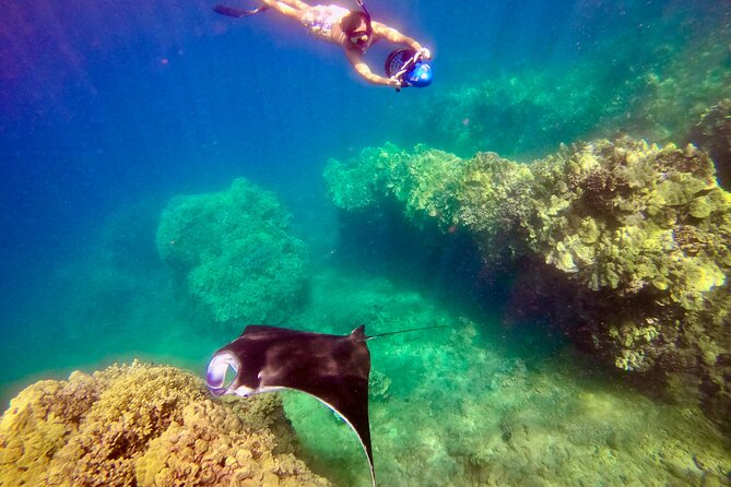 Guided Turtle Town Snorkel Tour With Sea Scooter - Makena - Reviews and Experiences