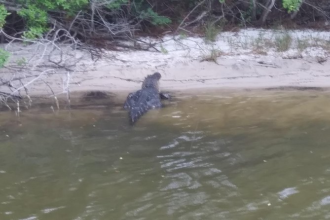 Guided Two Hour Boat Tour of the Indian River Lagoon - Meeting Point and Logistics