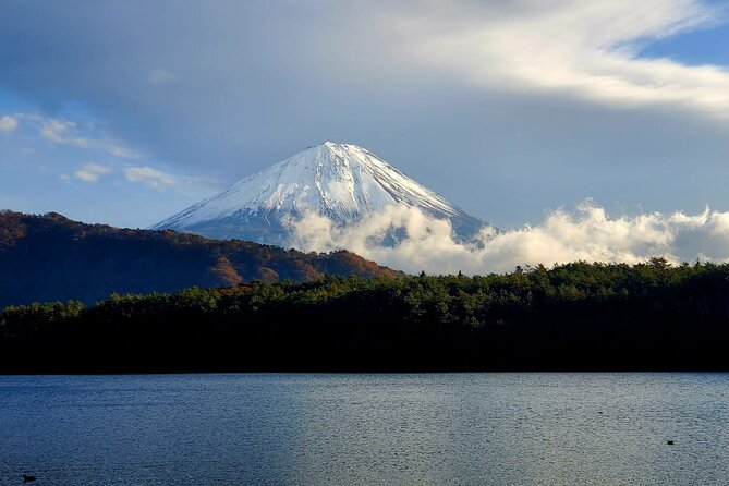 Guided Yokohama Port to Mt. Fuji Private Tour GREEN NUMBER PLATES - Additional Information