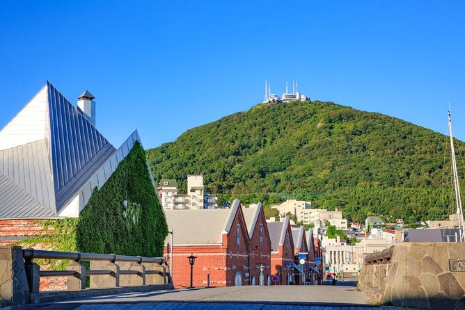 Hakodate 4hr Private Tour With Government-Licensed Guide - Vintage Tram Connectivity