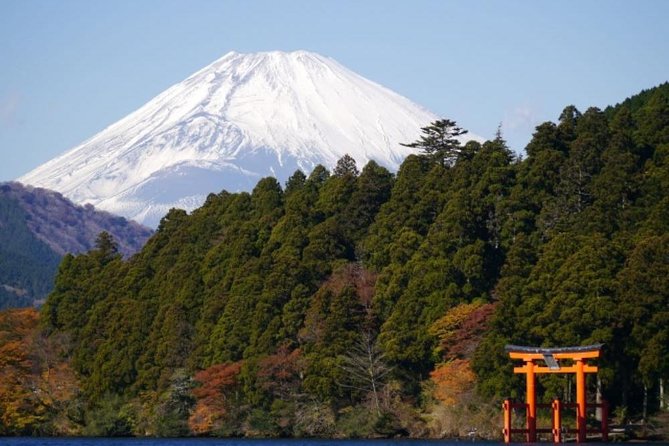 Hakone Pirate Ship, Owakudani Ropeway, Fuji 2nd Station Snow Sledding Day Trip - Reviews and Feedback