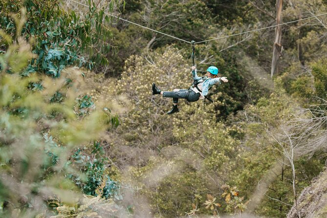 Haleakala National Park Sunrise and Zipline Tour Review - Haleakala National Park Sunrise Experience
