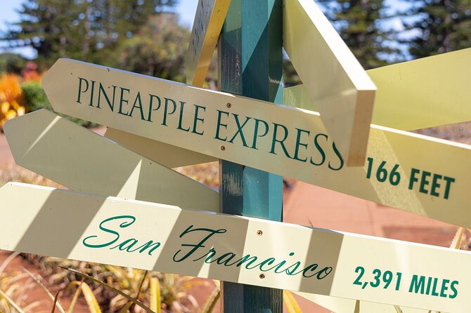 Haleiwa Express & Dole Plantation - Booking Details