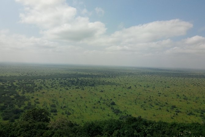 Half-day Accra Safari Tour - Accessibility Information