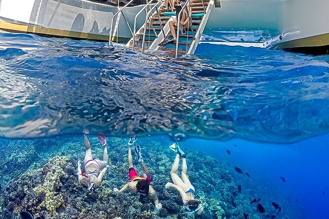 Half-Day Deluxe Molokini Snorkel Excursion in Maui - Traveler Reviews