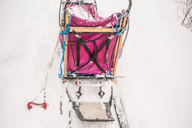 Half Day Drive Your Own Dog Team Dog Sledding Tour - Reviews and Ratings