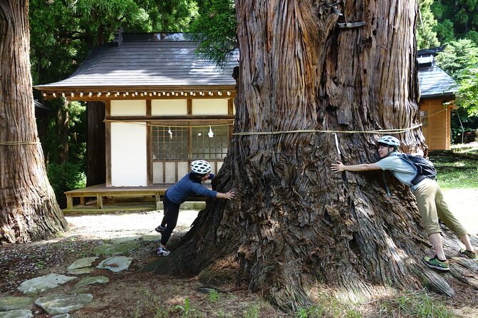 Half Day E-Bike Adventure Tour in Nagano - Health and Safety