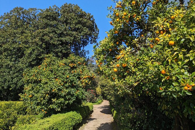Half-Day Excursion Around Santiago - Accessibility