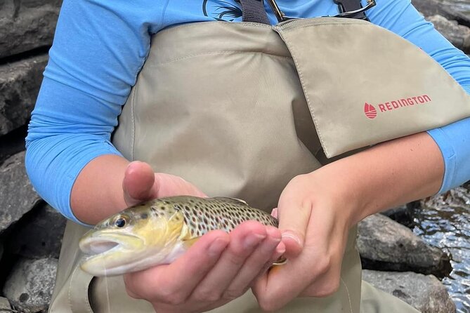 Half Day Fly Fishing Lesson on Clear Creek Near Denver - Pricing and Booking Details