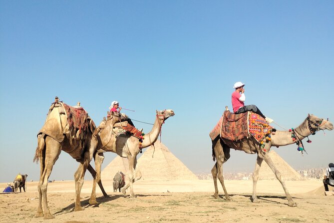 Half Day Giza Pyramids and Sphinx Tour With an Egyptologist - Pricing and Booking Options