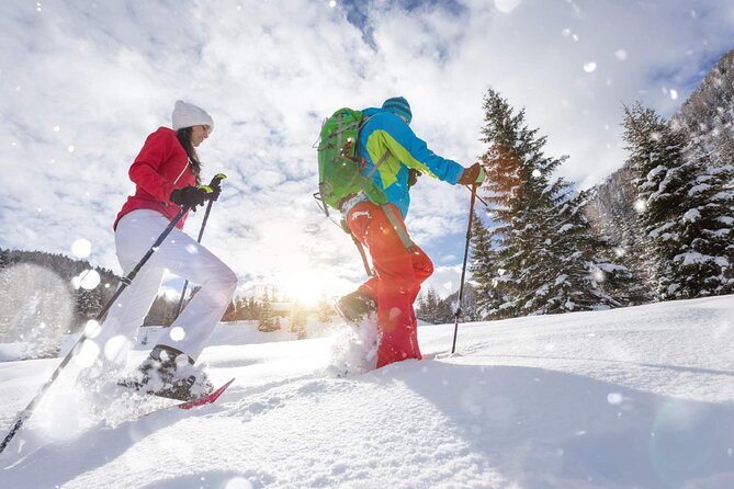 Half Day Guided Snowshoe Tour Review - Guided Snowshoe Experience