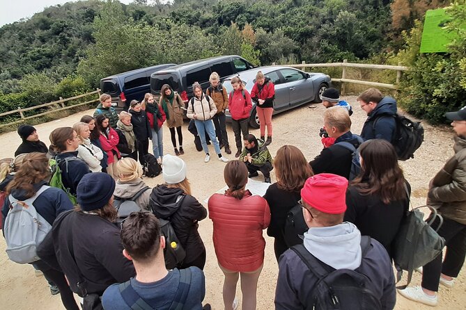 Half Day Hiking Tour Through La Fordada in La Rapita - Essential Tips for Hikers