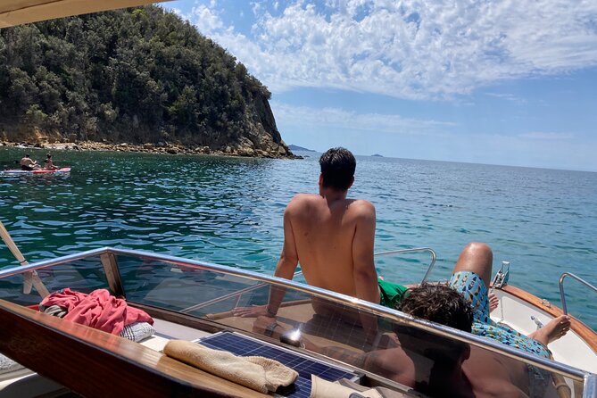 Half Day Private Boat Tour to Cala Violina - Accessibility Information