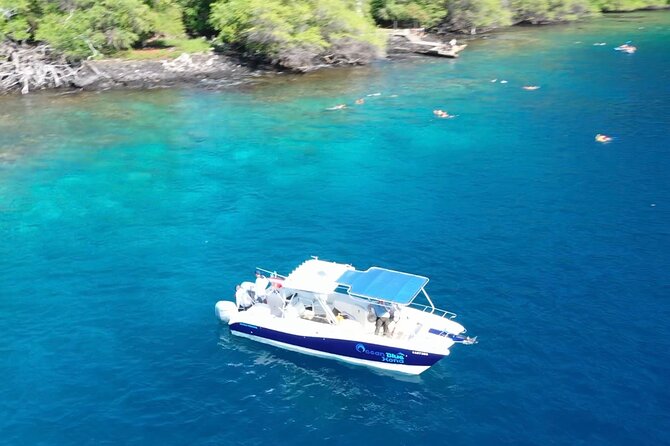 Half Day Private Cruise Tour With Snorkeling Review - Customer Reviews