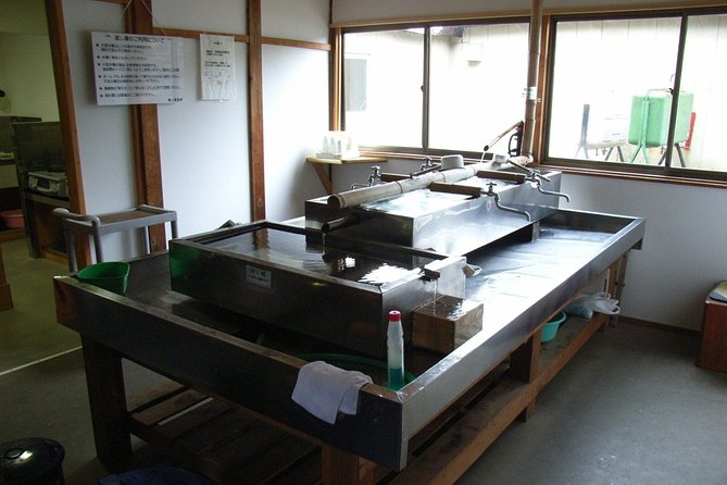 Half-Day Private Guided Japanese Hot Spring Experience - Pricing and Booking