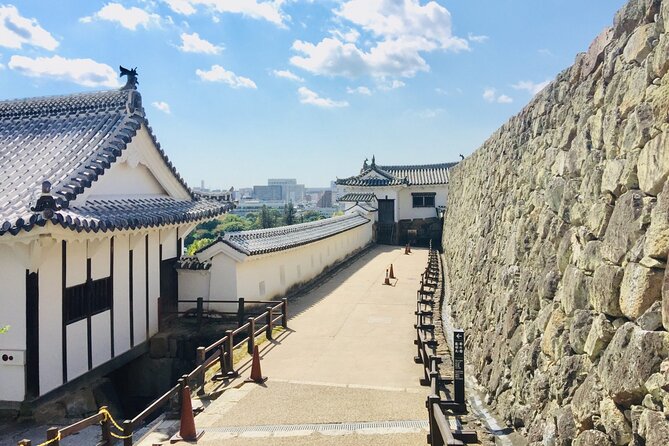 Half-Day Private Guided Tour of Himeji Castle - Tour Highlights