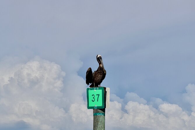 Half-Day Private Tiki Boat Beach Tour From Fort Myers - Highlights of the Tour