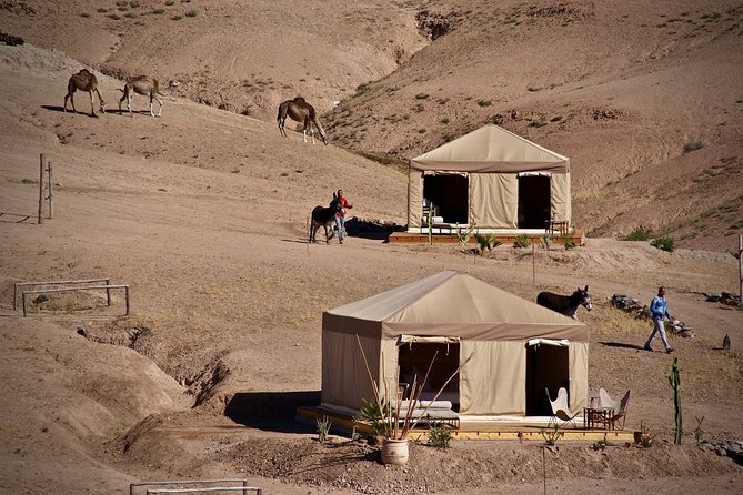 Half-Day Private Tour in Agafay Desert With Dinner - Customer Reviews