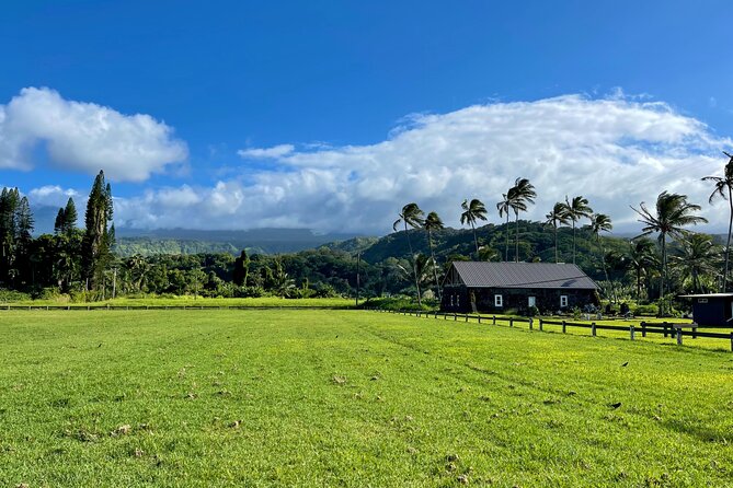Half Day Private VIP Road to Hana Tour - Options for Strenuous Hikes or Leisurely Strolls