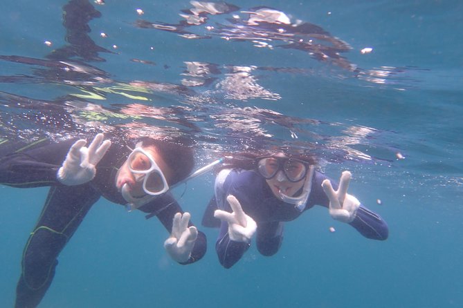 Half-Day Snorkeling Course Relieved at the Beginning Even in the Sea of Izu, Veteran Instructors Will Teach Kindly - Booking Information