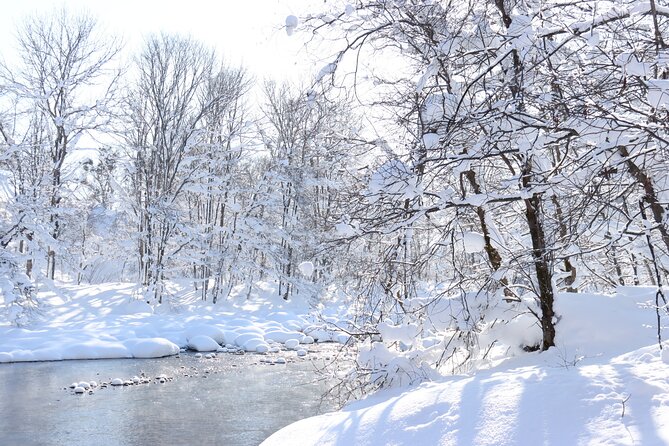 Half Day - Snow View Rafting in Niseko - Refreshments and Amenities