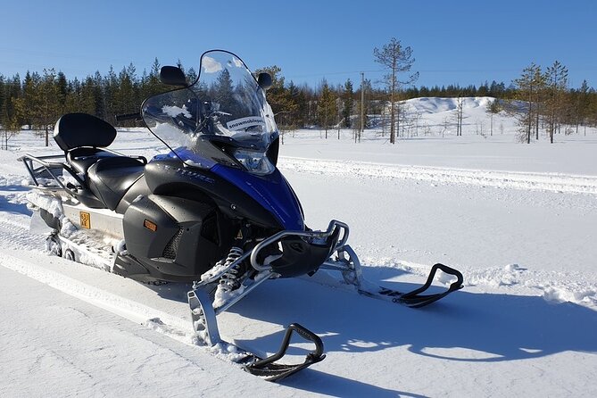 Half-Day Snowcastle Tour by Snowmobile in Levi With Lunch - Lunch and Dining Experience
