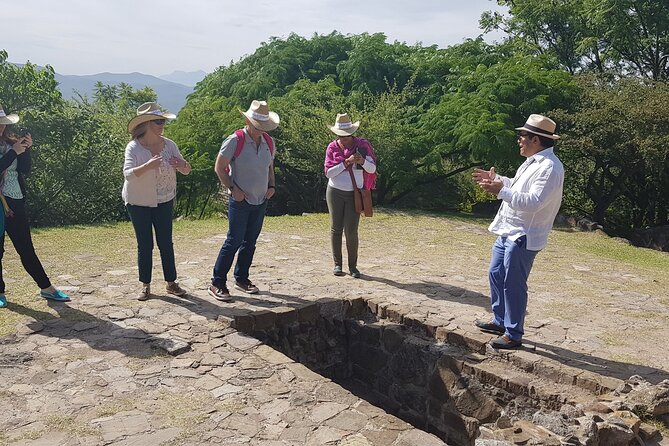 Half-Day Tour to Monte Albán - Pickup and Transportation