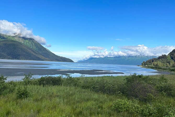 Half Day Tour Turnagain Arm - Alaska Wildlife Conservation Center - Booking Your Tour