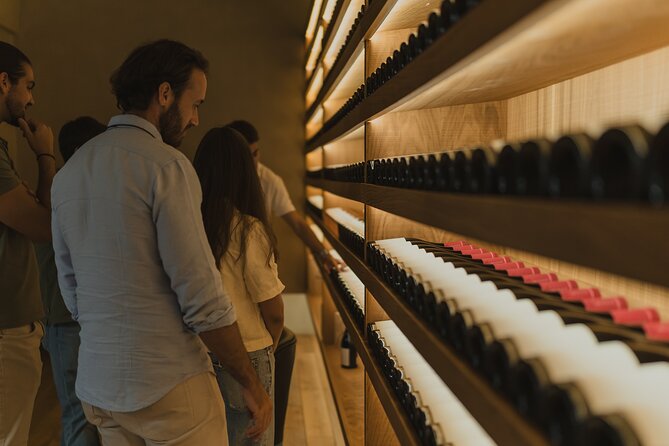 Half Day Wine Tour Around Evora - Highlights of the Tour