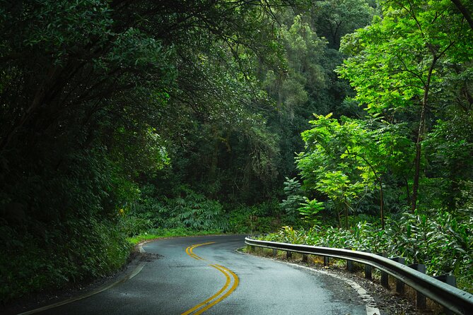 Halfway to Hana Tour Review: A Scenic Adventure - Picnic Lunch Experience